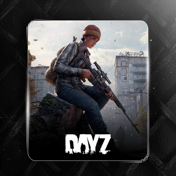 buy dayz hack